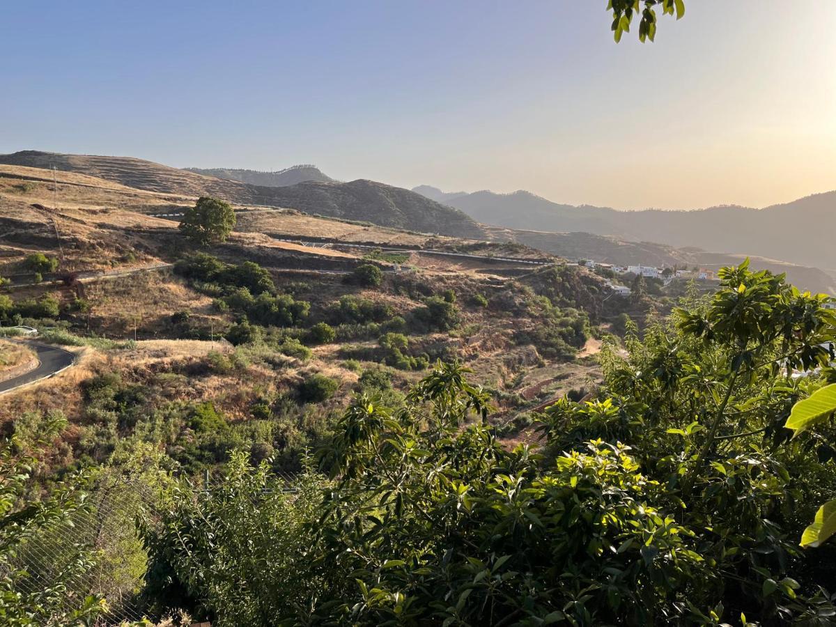 Cueva El Retamal Villa Juncalillo Dış mekan fotoğraf