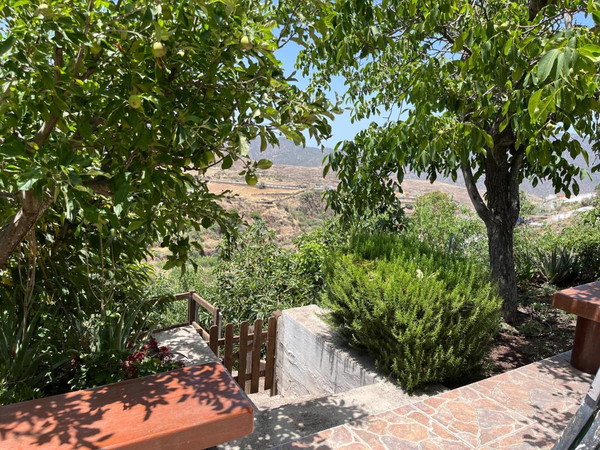 Cueva El Retamal Villa Juncalillo Dış mekan fotoğraf